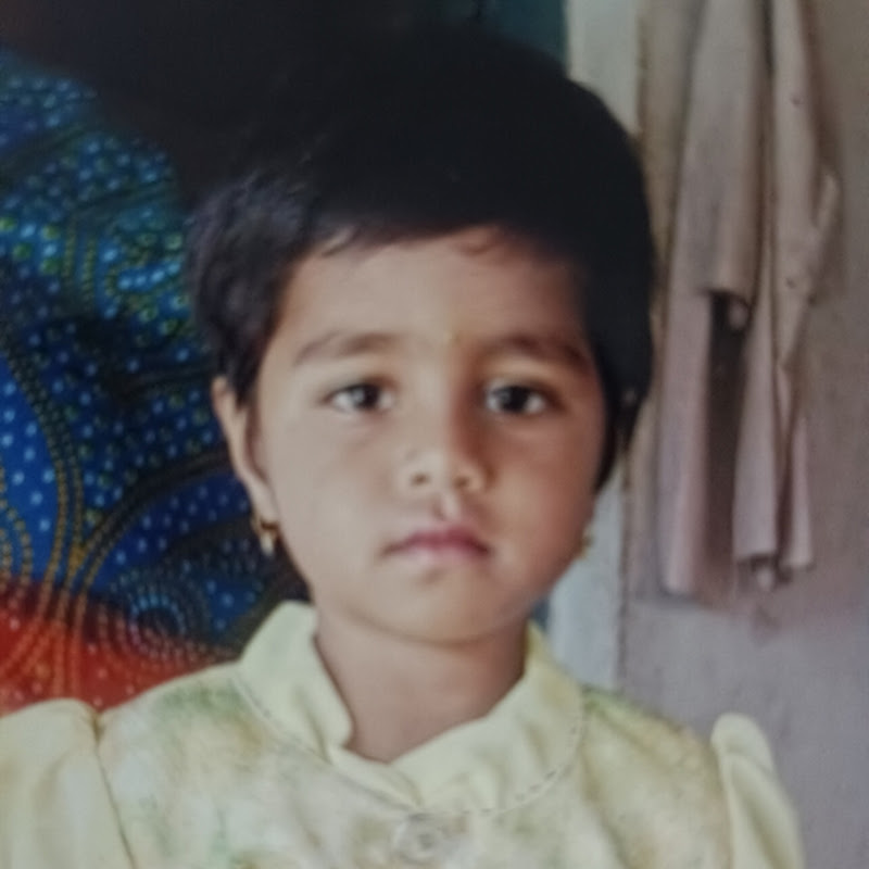 Sindhu vlogs