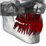 bMz7QkN5UJ4-channel-avatar-DentalVision3D Animation and 2 more