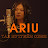 Ariu - Topic