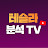 테리우스의 테슬라분석TV