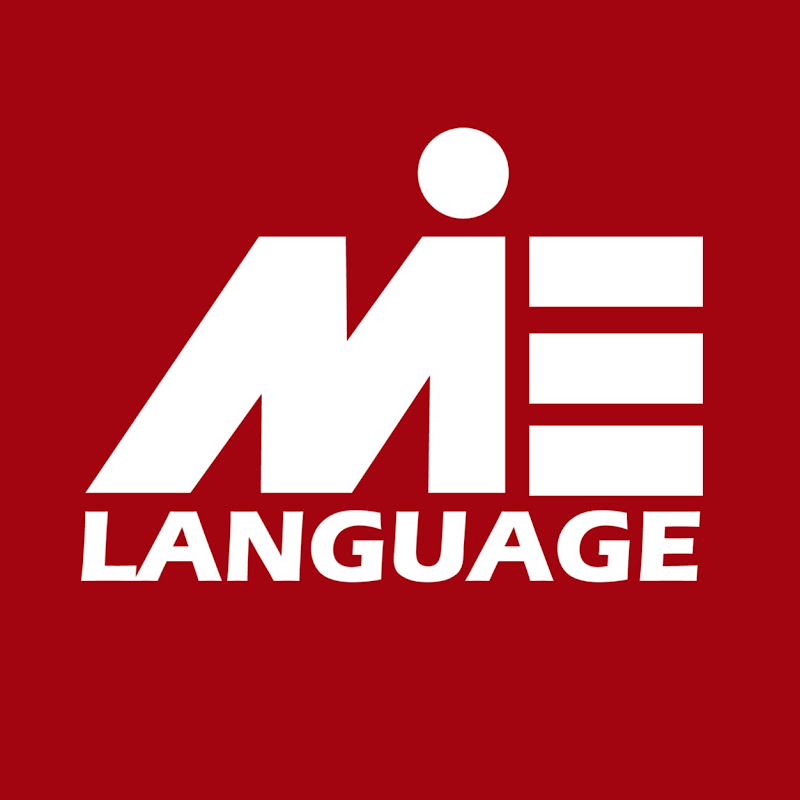 LanguageMIE