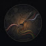 MGviovQe7-s-channel-avatar-Taste of Nations