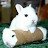 Bunny leaning on a squished bunny in a toilet roll