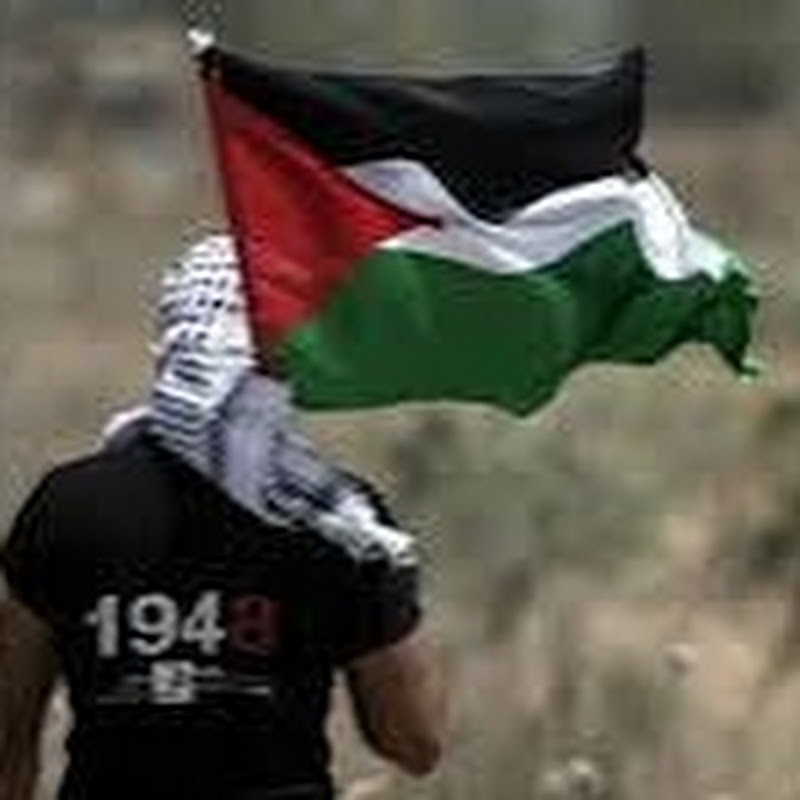 Palestine 