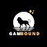 NiFndOsp_XQ-channel-avatar-GamBound