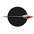 n3jyBuU0kbc-channel-avatar-La Penna nel Fianco