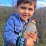 bPrivR2phZA-channel-avatar-Primitive Bird World