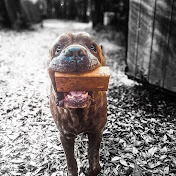 RampageDaGoat