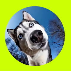 Sunday Againの画像