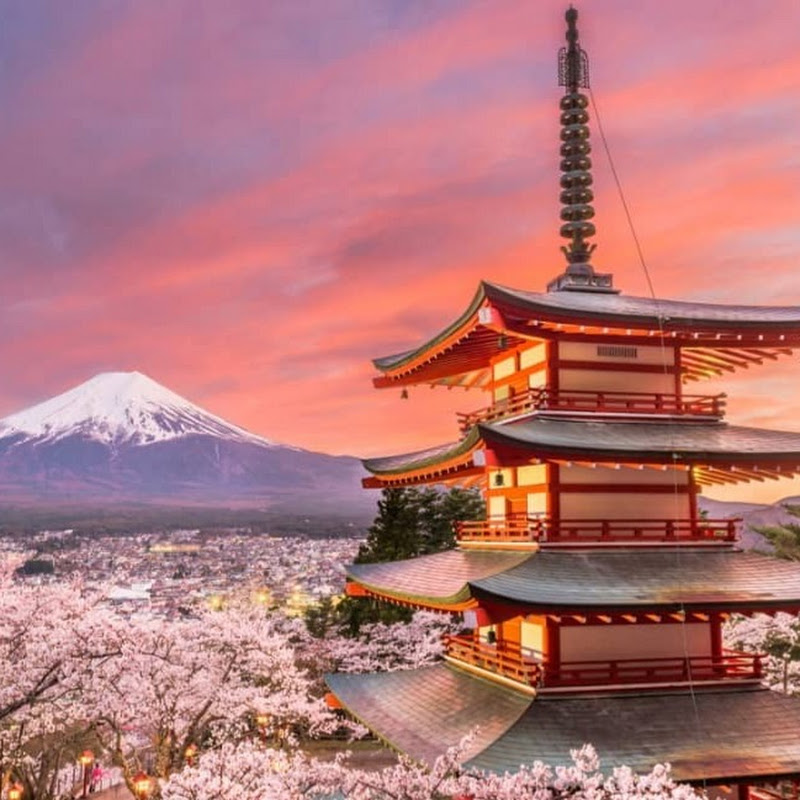 Japan Shots