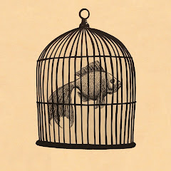 Fish in a Birdcage net worth
