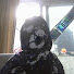dWEImWDj-DU-channel-avatar-Cheeswi