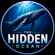 The Hidden Ocean