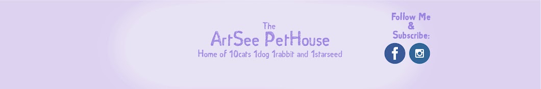 PetitPetHouse Avatar canale YouTube 