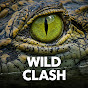 WildClash logo