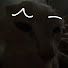 HA0VpdsAf4Q-channel-avatar-XTC