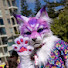 s_xC162HoQY-channel-avatar-Whiskers Media