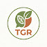 RXUB5wfI4AU-channel-avatar-The Garden Reply