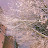 @닝겐-c4t