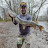 @The_fish_rizzler