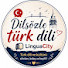 on-Y4y_MzdI-channel-avatar-LinguaCity 