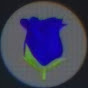 장미농장