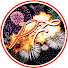 Xwwc4brhDd8-channel-avatar-Pyro Fox