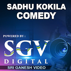 Sadhu Kokila Comedy Avatar