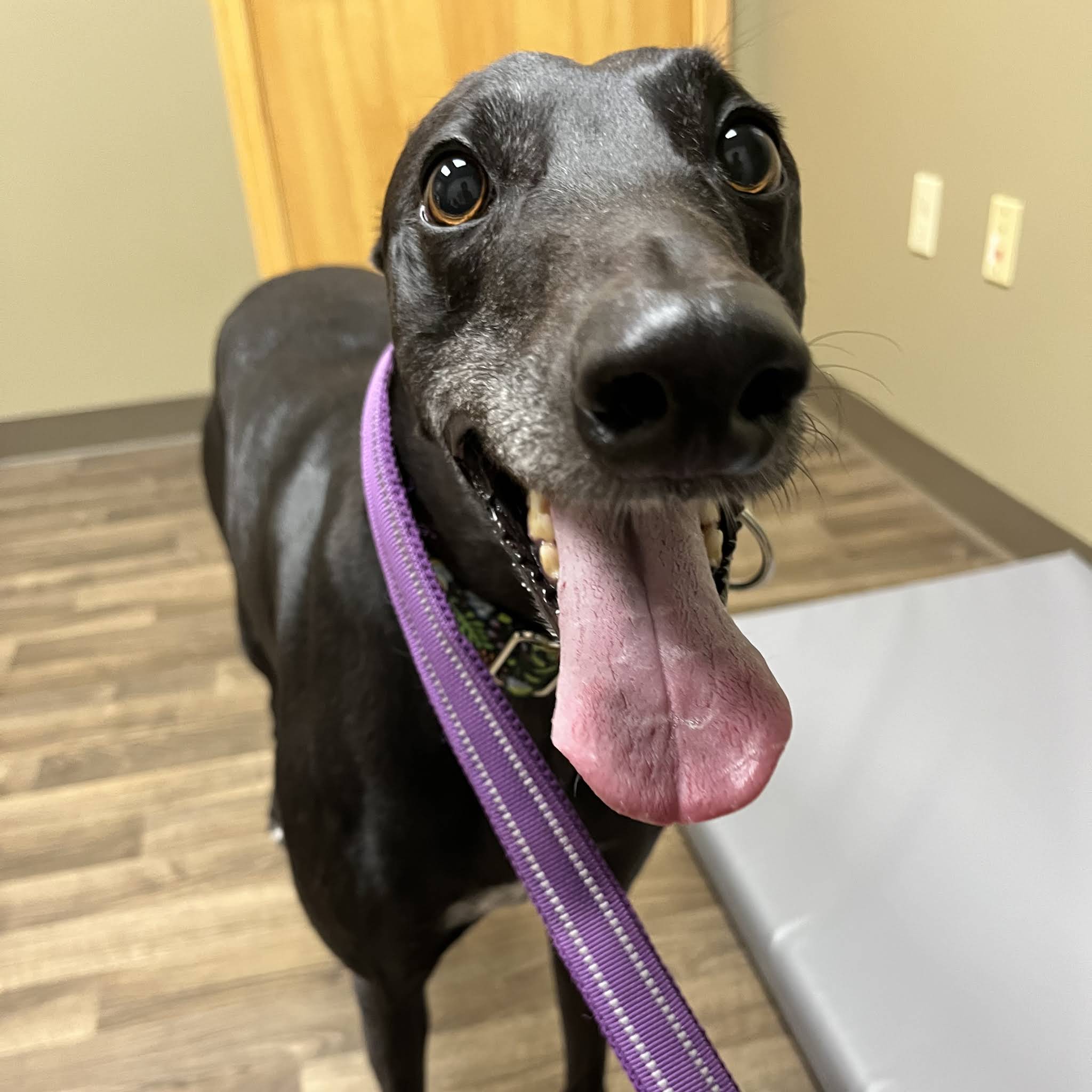 Post from Brad Taste In Music