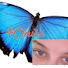 QASjh193Qok-channel-avatar-4Clairs