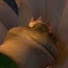 0zOjWlAEstk-channel-avatar-MusicalTurtle