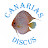 Canarias Discus