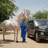 hXqOkgqcTHg-channel-avatar-Horse Queen 
