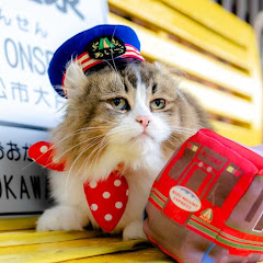 ねこ駅長さんチャンネル