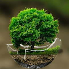 Nature Mystic