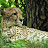 @d3lyxoomusic103 Avatar