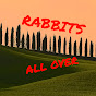 RABBITS ALL OVER logo