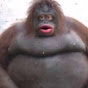 emoo