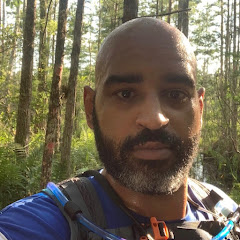 Wild Fish Tanks net worth