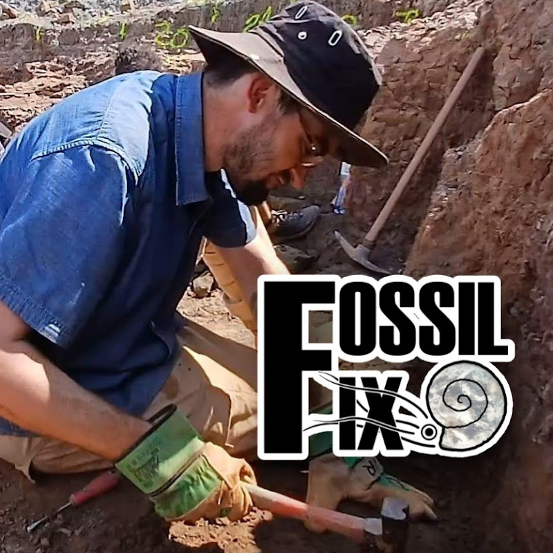 Fossil Fix icon