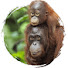 HK6OpTVmM1c-channel-avatar-atlas2050