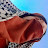 @بنوني-س6ب