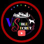 Visible Secrets logo