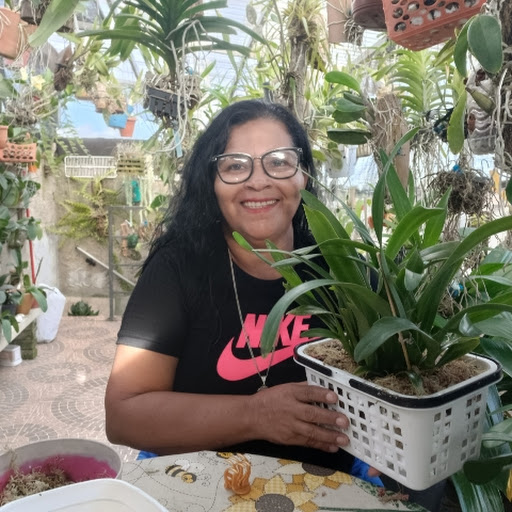 Edna orquideas e plantas