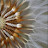 @leejwa6839's avatar