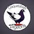 Wi_5tjSLOlw-channel-avatar-Liaquatabad pigeons official 