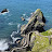 @gerrymurphychauffeurservices's avatar