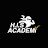 High Income Skills Academy