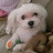 @ljhyeok