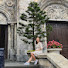 Fyeg3_sCfWM-channel-avatar-Thư Hiền